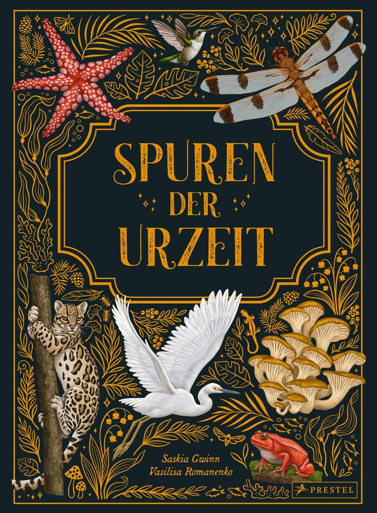 Spuren der Urzeit Gwinn, Saskia; Romanenko, Vasilisa; Romanenko, Vasilisa (Illustrationen); Franz, Birgit (Übersetzung) Gebundene Ausgabe 