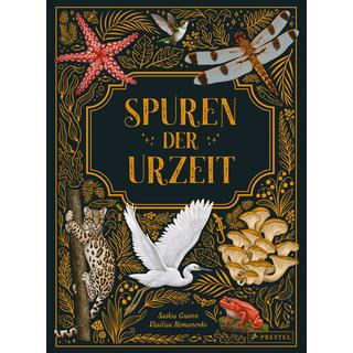 Spuren der Urzeit Gwinn, Saskia; Romanenko, Vasilisa; Romanenko, Vasilisa (Illustrationen); Franz, Birgit (Übersetzung) Gebundene Ausgabe 