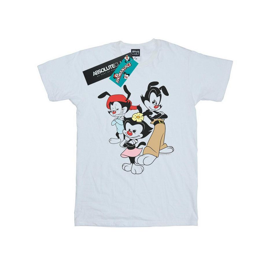 Tshirt