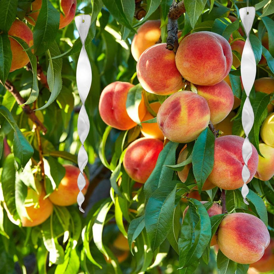 B2X Vogelabwehrspirale 18-teiliges Set  