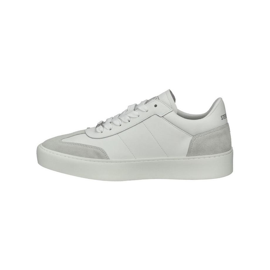 STEVE MADDEN Sneaker basse avec accents en daim  