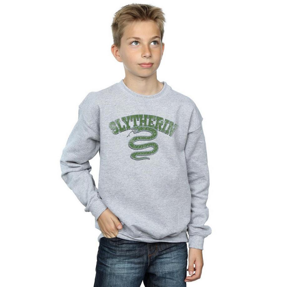 Harry Potter  Sweat SLYTHERIN 
