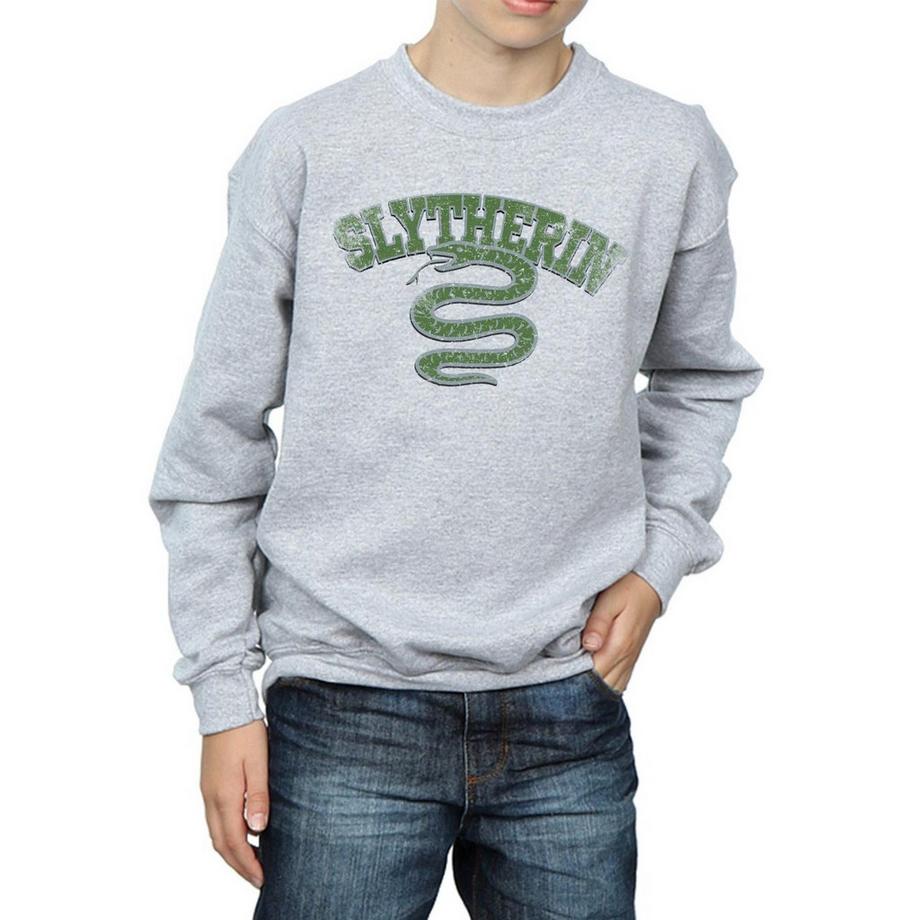 Harry Potter  Sweat SLYTHERIN 