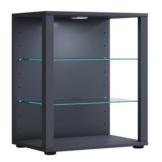 VCM Bois verre vitrine de collection vitrine de verre vitrine stand vitrine Glasol S  