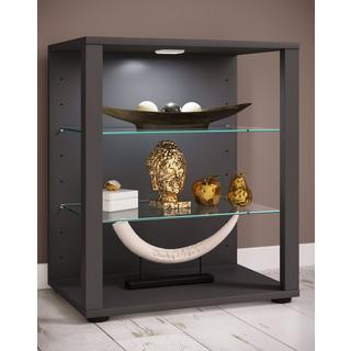 VCM Bois verre vitrine de collection vitrine de verre vitrine stand vitrine Glasol S  