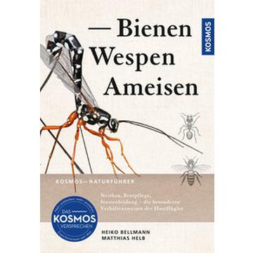 Bienen, Wespen, Ameisen