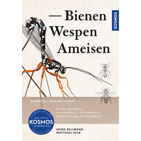 Bienen, Wespen, Ameisen Bellmann, Heiko; Helb, Matthias Copertina rigida 