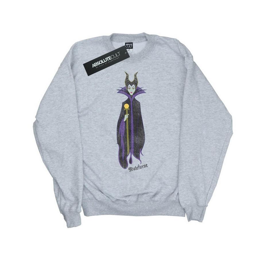 Disney  Sleeping Beauty Sweatshirt 