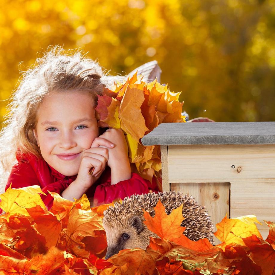 B2X  Winterfestes Igelhaus als Bausatz 