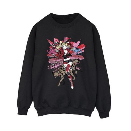 DC COMICS  Sweatshirt 