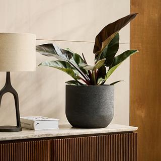 AM.PM Übertopf aus Steingut H23 cm  