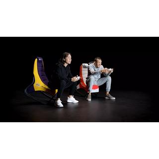 Playseat Champ NBA Edition  