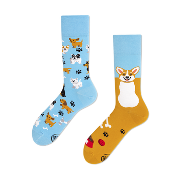 Playful Dog Socks - Many Mornings