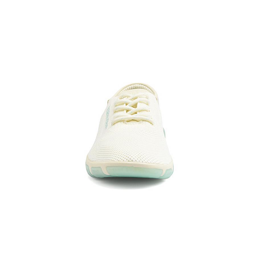 Tbs Jazaria Sneakers  