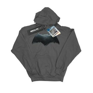 DC COMICS  Justice League Kapuzenpullover 