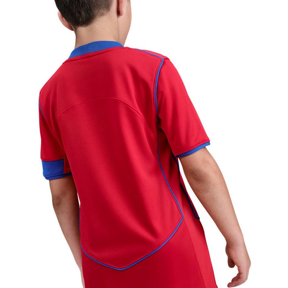 NIKE  Third Paris Saint Germain Fc Maglietta Da Calcio 