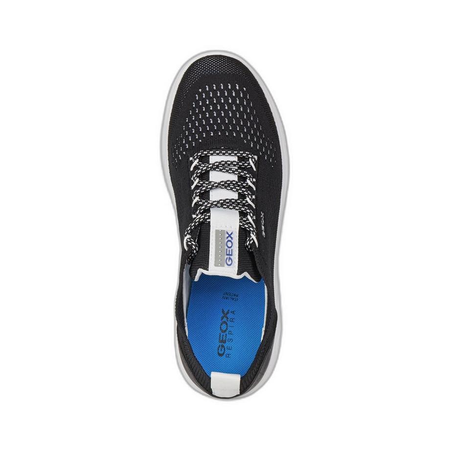 GEOX Spherica Low Top Sneakers  