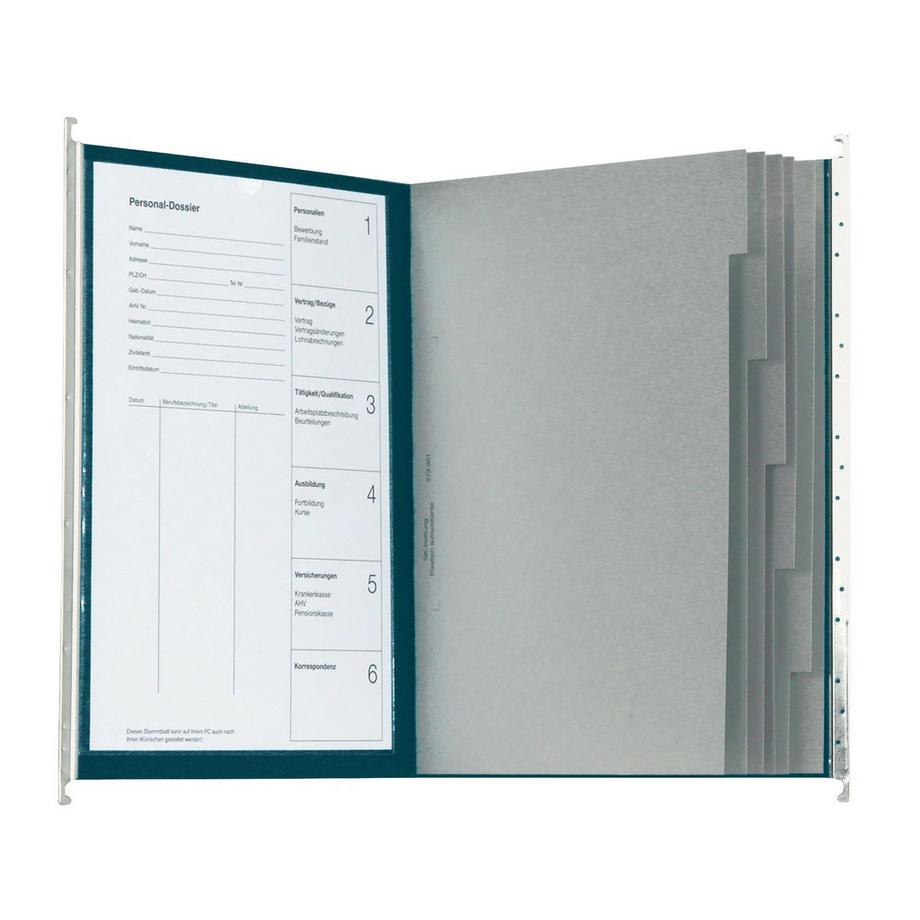 Biella  Registerhängemappen Original, A4, 25 cm, 10 Stück, inklusive Zubehör 