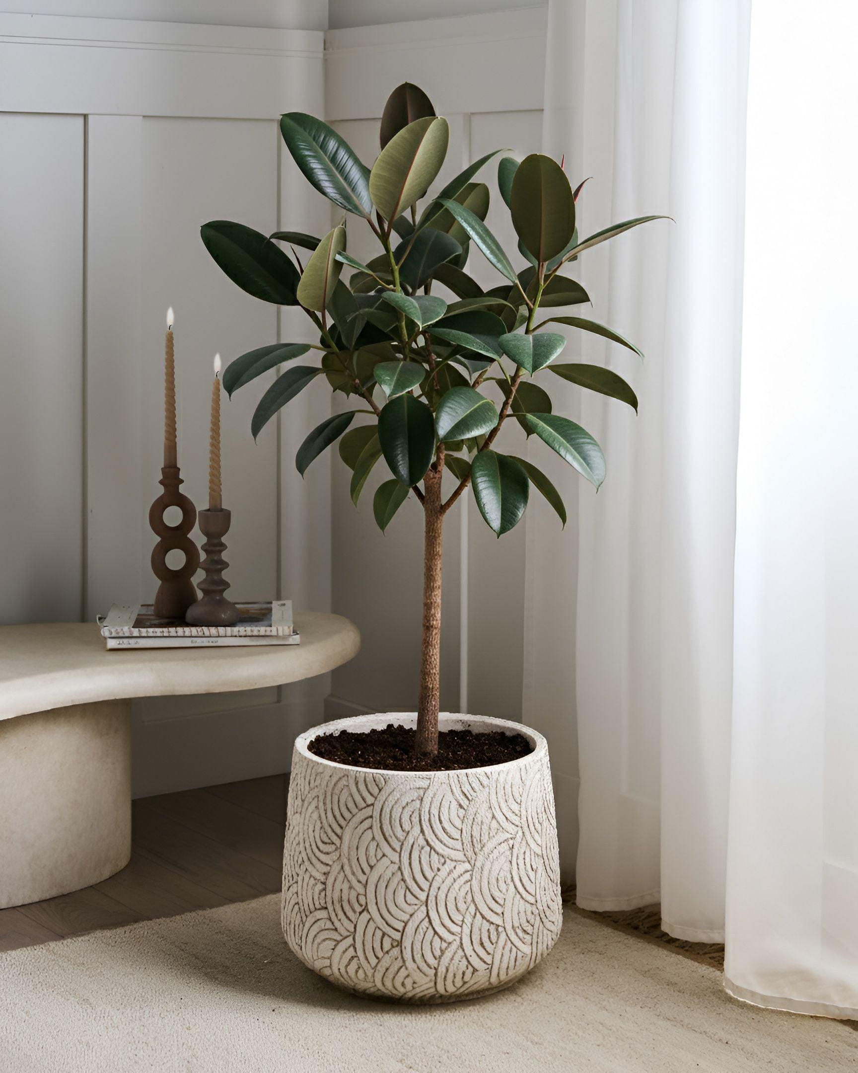 Beliani Cache-pot en Fibre d'argile Moderne ERIROS  