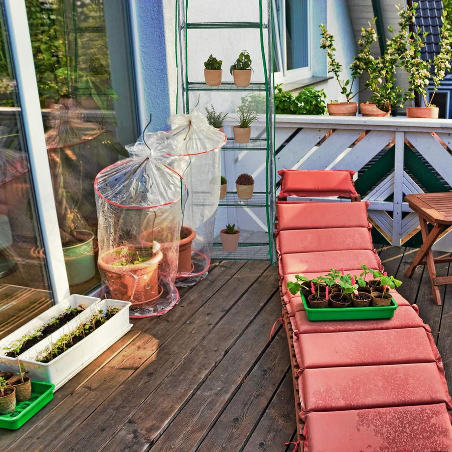 B2X Serre de balcon avec film PVC  