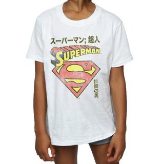 DC COMICS  Superman Shield TShirt 