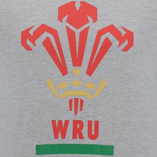 macron Wales Rugby XV 202021 T-shirt Cotone  