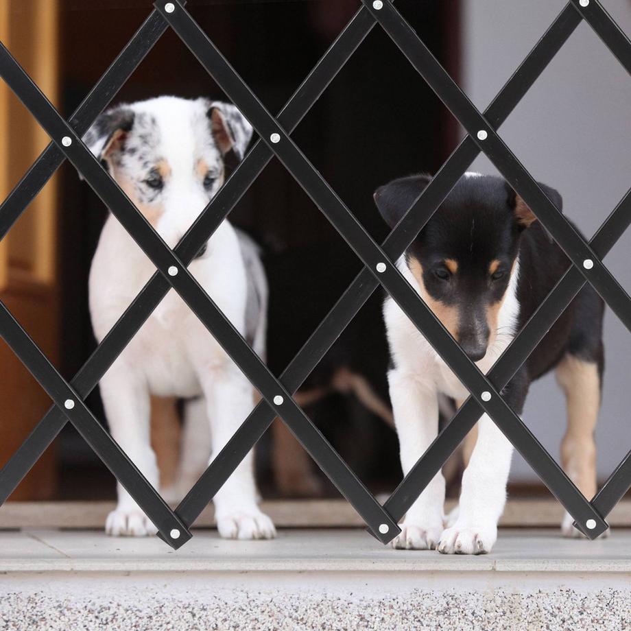 Northix  Barrière extensible pour chien noire 