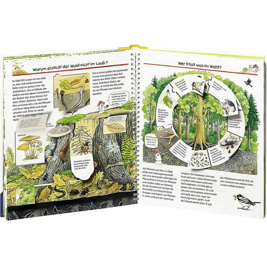 Wieso? Weshalb? Warum?, Band 46: Wir entdecken den Wald Weinhold, Angela; Weinhold, Angela (Illustrationen) Gebundene Ausgabe 