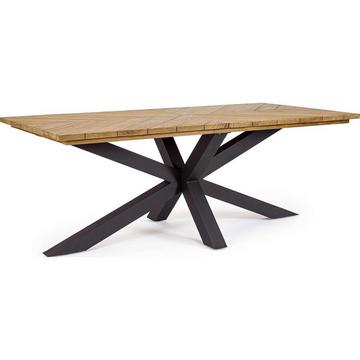 Table de jardin Palmdale teck naturel 200x100