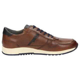 Sioux  Sneaker Rojaro-700 