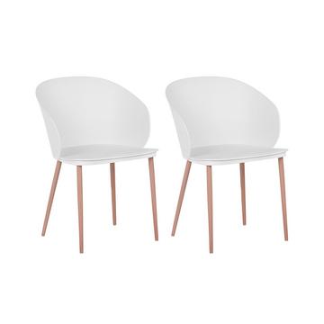 Lot de 2 chaises de salle à manger en Matière synthétique Moderne BLAYKEE