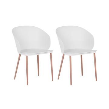 Lot de 2 chaises en Matière synthétique Moderne BLAYKEE