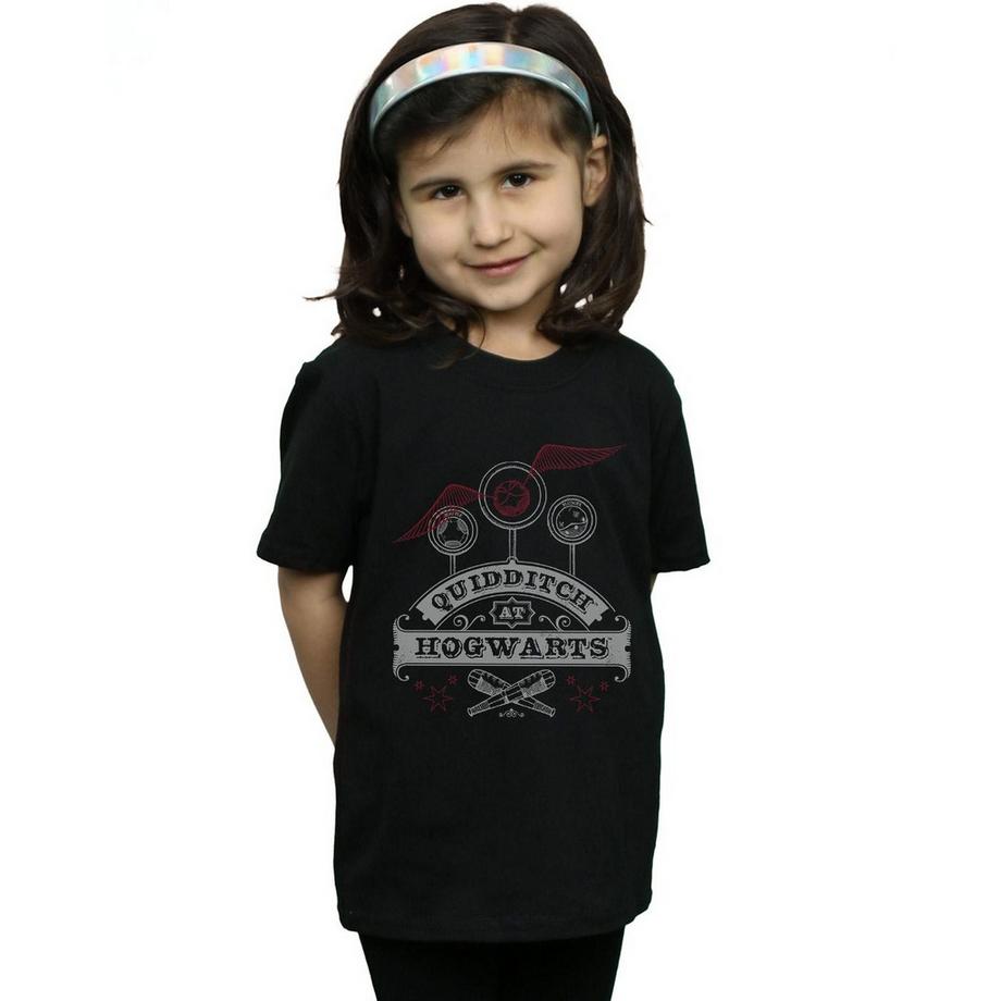 Harry Potter  Quidditch At Hogwarts TShirt 