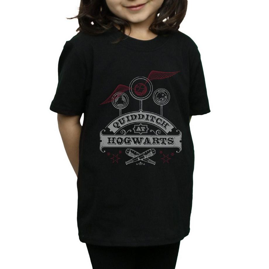 Harry Potter  Quidditch At Hogwarts TShirt 