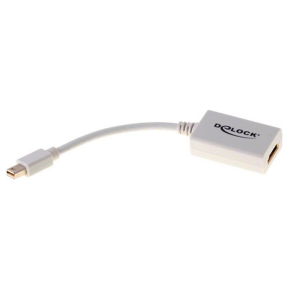 DeLock  Adaptateur 