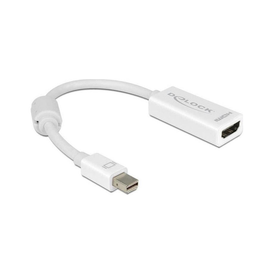 DeLock  Adaptateur 