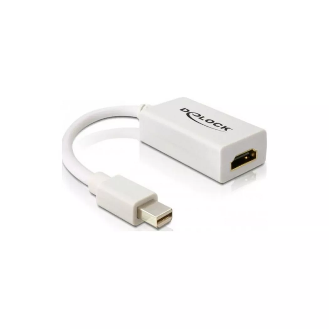 DeLock - Adaptateur, One Size, Blanc