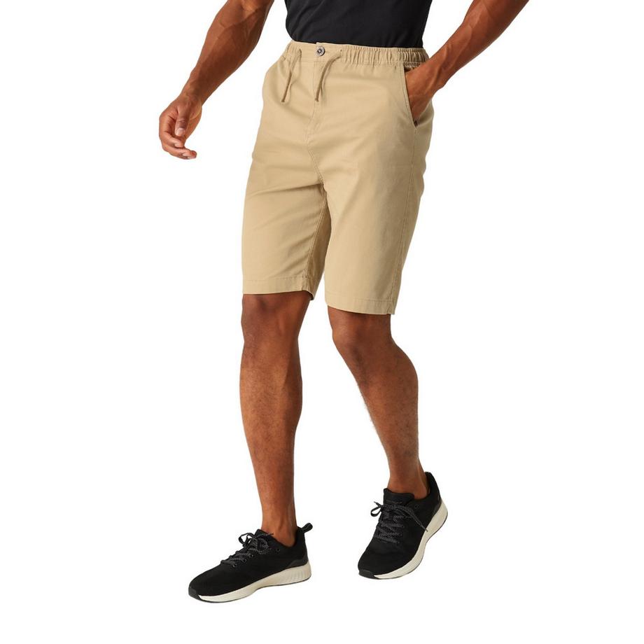 Regatta Pantaloncini Aldan  