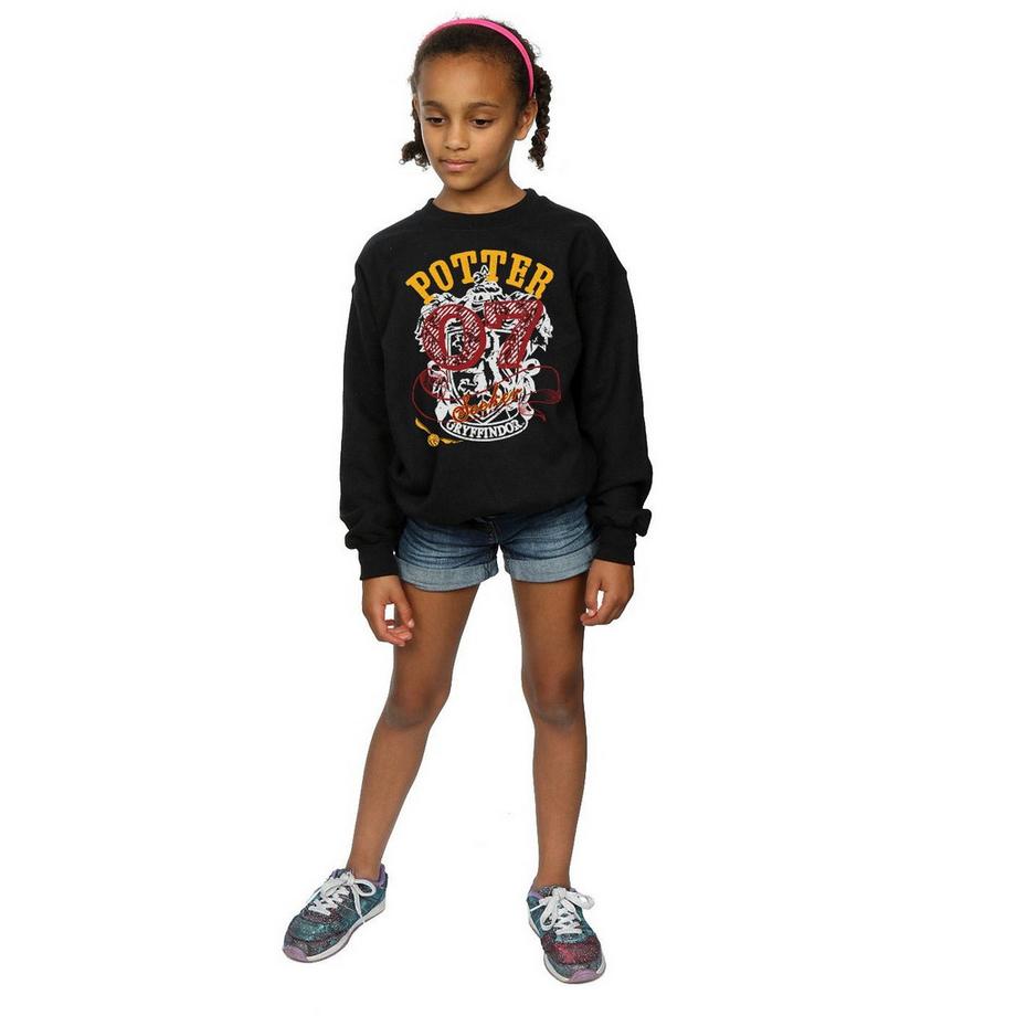 Harry Potter  Gryffindor Seeker Sweatshirt 
