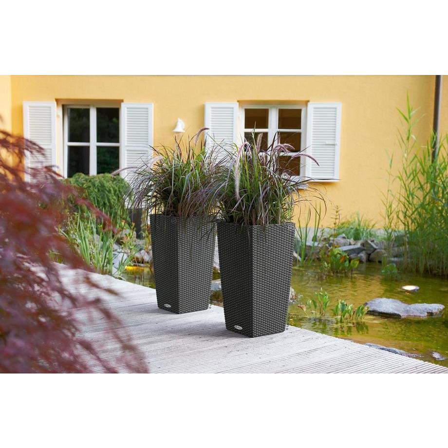 Lechuza Trend Collection CUBICO Cottage all-in-one  