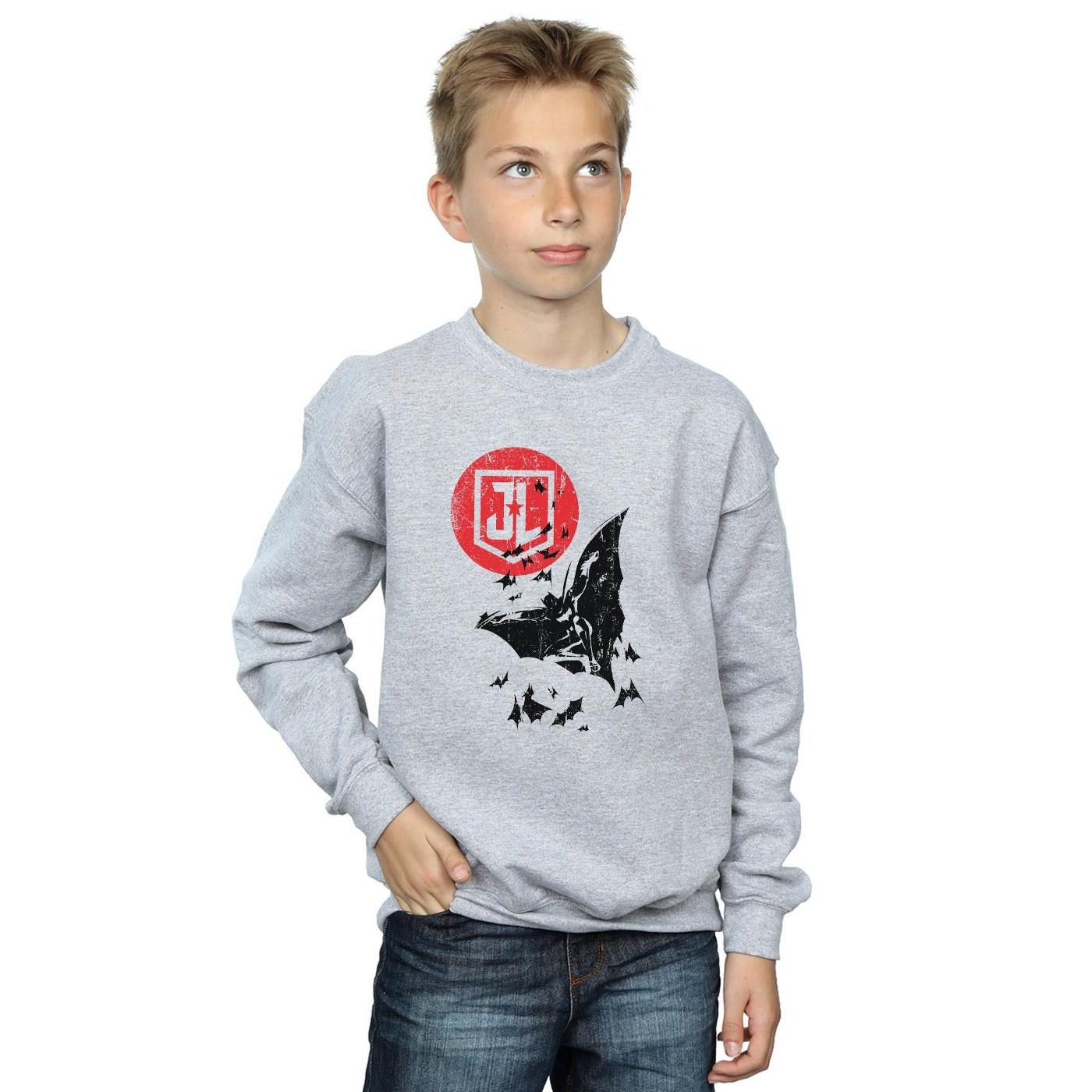 DC COMICS  Justice League Sweatshirt 