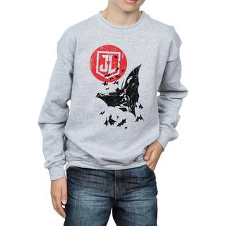 DC COMICS  Justice League Sweatshirt 