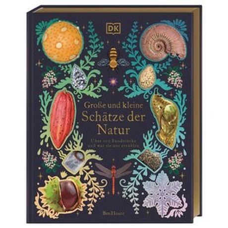 Große und kleine Schätze der Natur. Große und kleine Schätze der Natur Hoare, Ben; McKean, Kaley (Illustrationen); Sixt, Eva (Übersetzung) Gebundene Ausgabe 