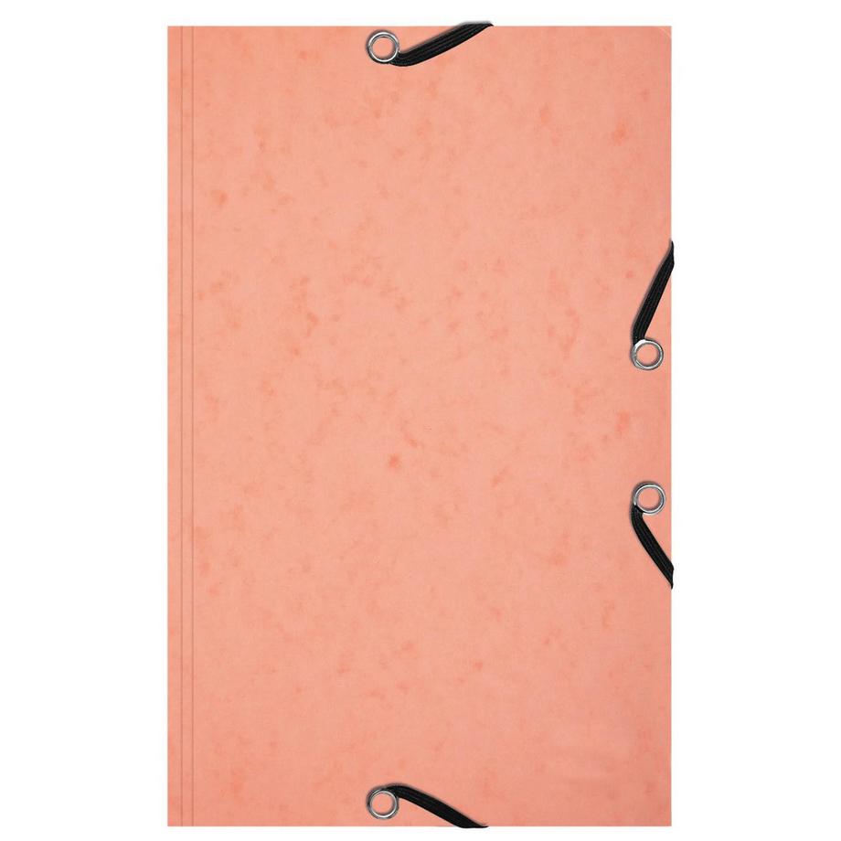 Exacompta Cartelle 3 lembi con elastici Aquarel + 25 schede bristol 125x200 - x 10  