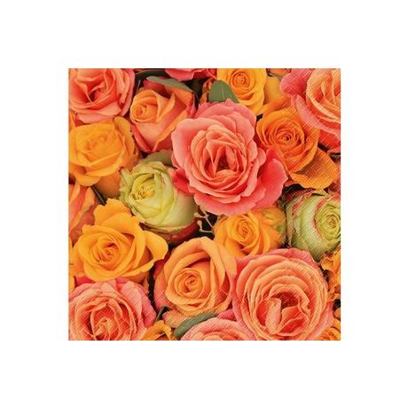 STEWO INTERNATIONAL STEWO Servietten Rosso 33x33cm 2572638115 orange 20 Stück  