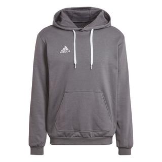 adidas Entrada 22 Kapuzenpullover  