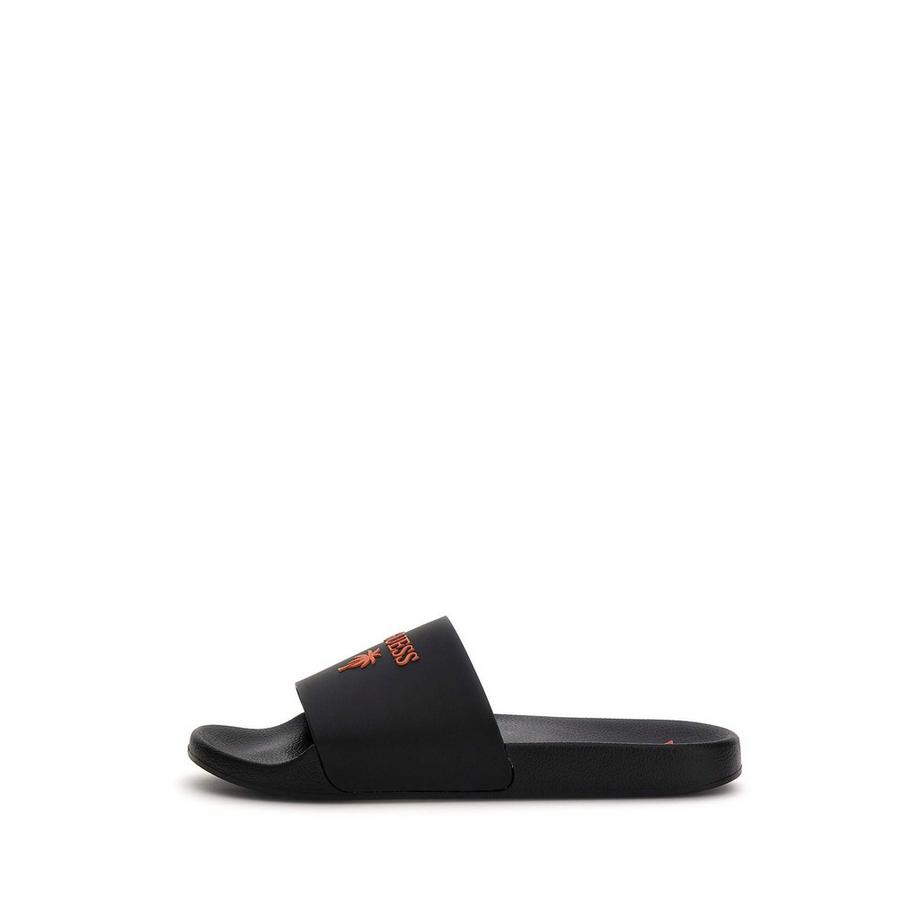 Slides palma