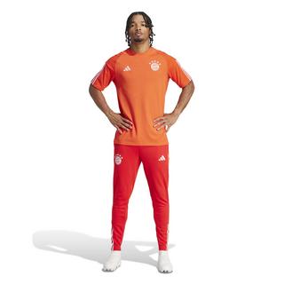 adidas  t-shirt bayern munich 2023/24 