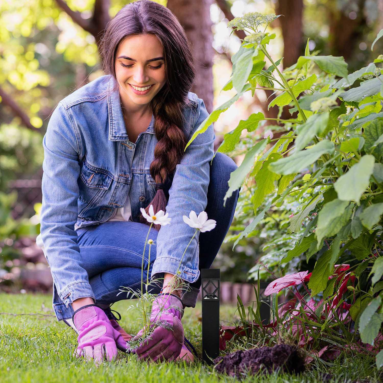 Northix Ensemble de lampes solaires  