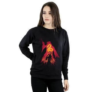 Harry Potter  Sweatshirt 